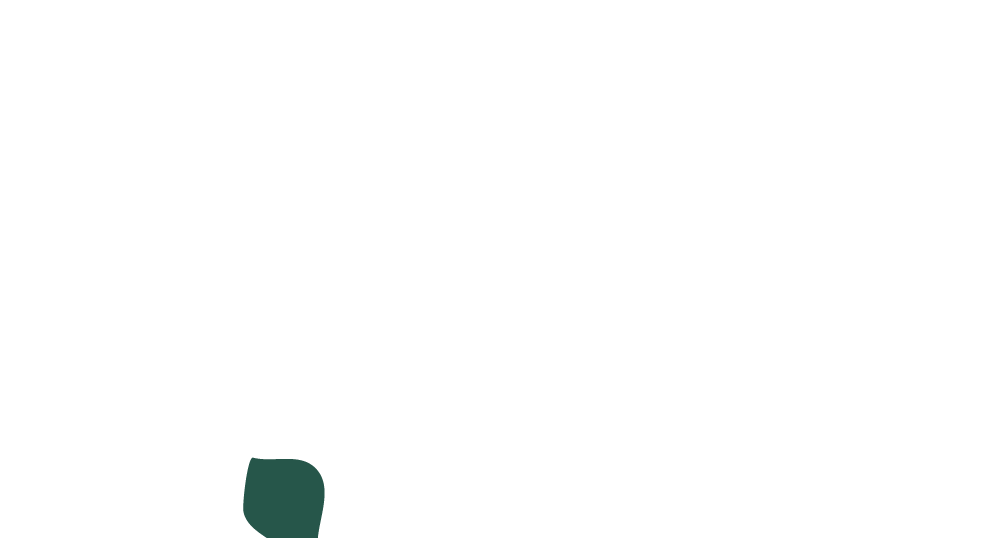 Hubstudio Logo